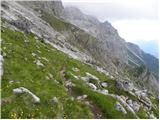 Malga Fosse - Rifugio Rosetta